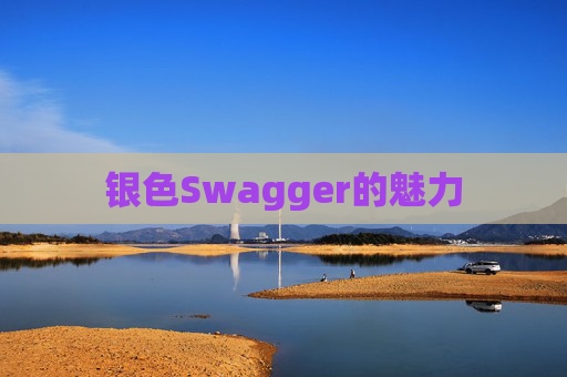 银色Swagger的魅力